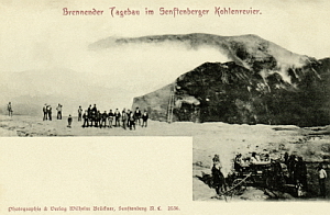 Senftenberg